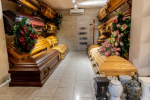 6 Biuro Sulechów (8)