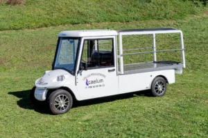 Karawany Caelum (10)