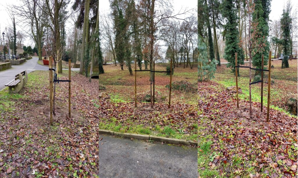 Zdjęcie WhatsApp 2025-12-12 o 15.15.32 ee4d5d84