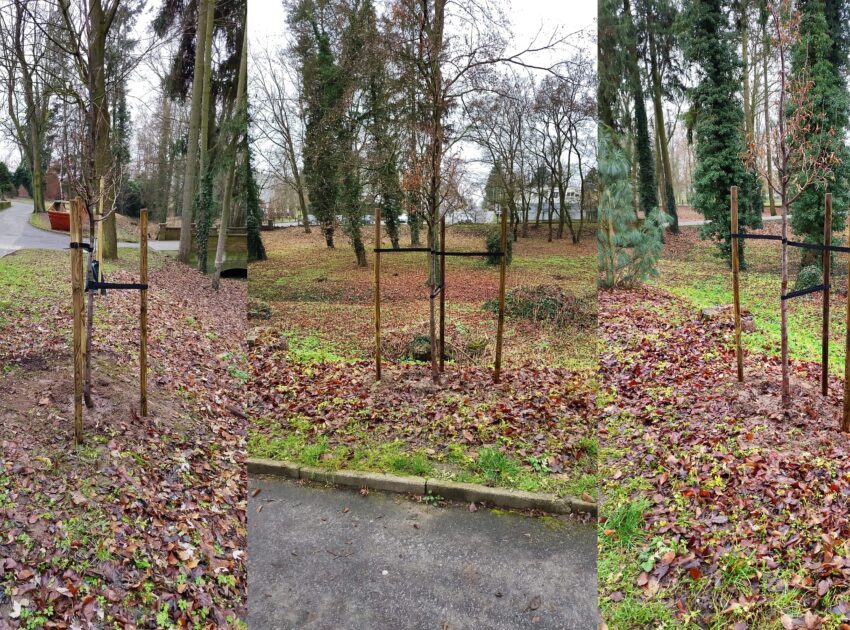 Zdjęcie WhatsApp 2025-12-12 o 15.15.32 ee4d5d84