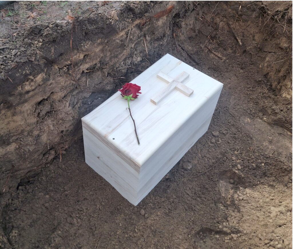 Zdjęcie WhatsApp 2025-12-16 o 10.40.43 4f0a5d81