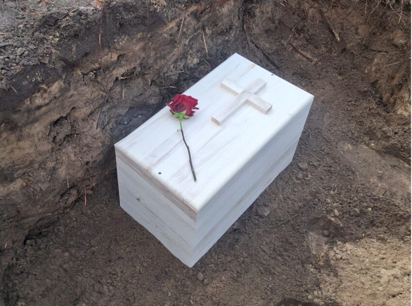 Zdjęcie WhatsApp 2025-12-16 o 10.40.43 4f0a5d81