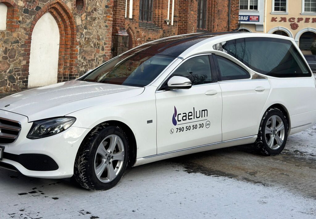 WhatsApp Image 2026-01-29 at 22.17.41