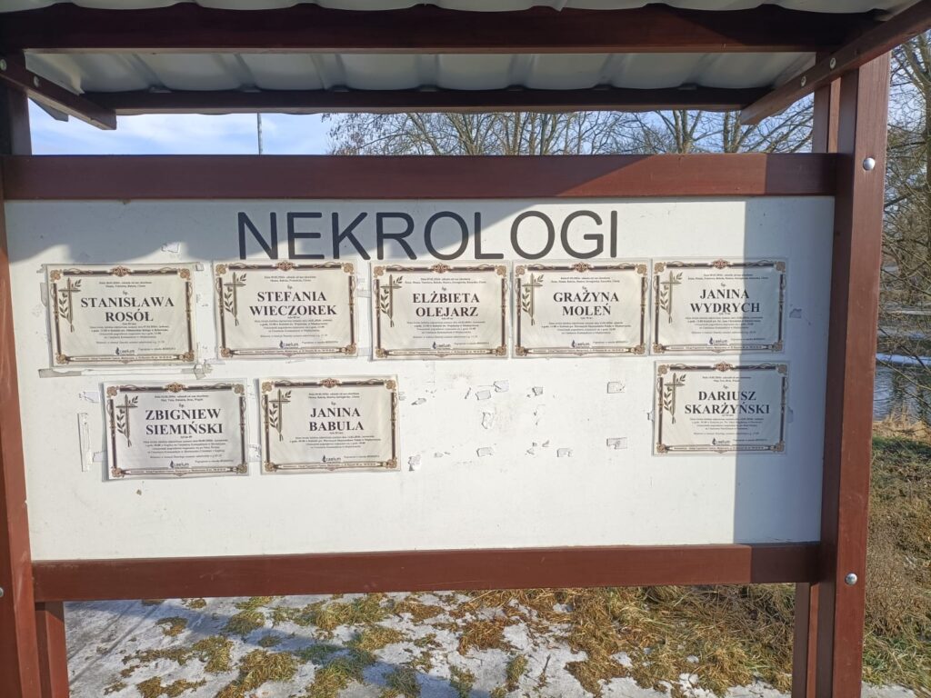 WhatsApp Image 2026-02-11 at 14.59.36