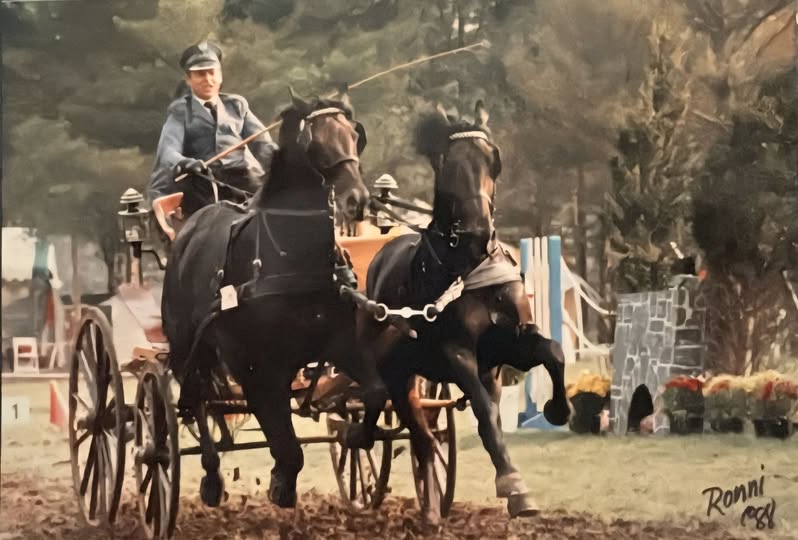 653318635 1568563104730886 7526681541488155245 n