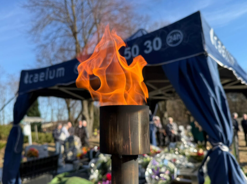 WhatsApp Image 2026-03-03 at 13.15.47