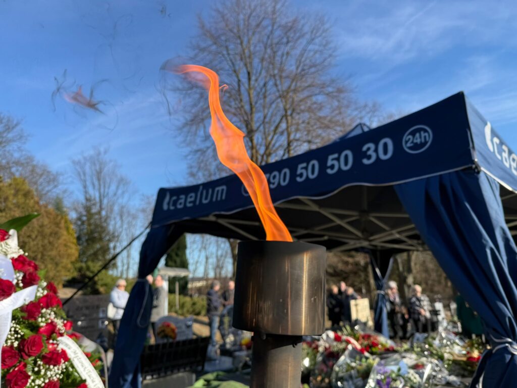 WhatsApp Image 2026-03-03 at 13.15.47 (2)