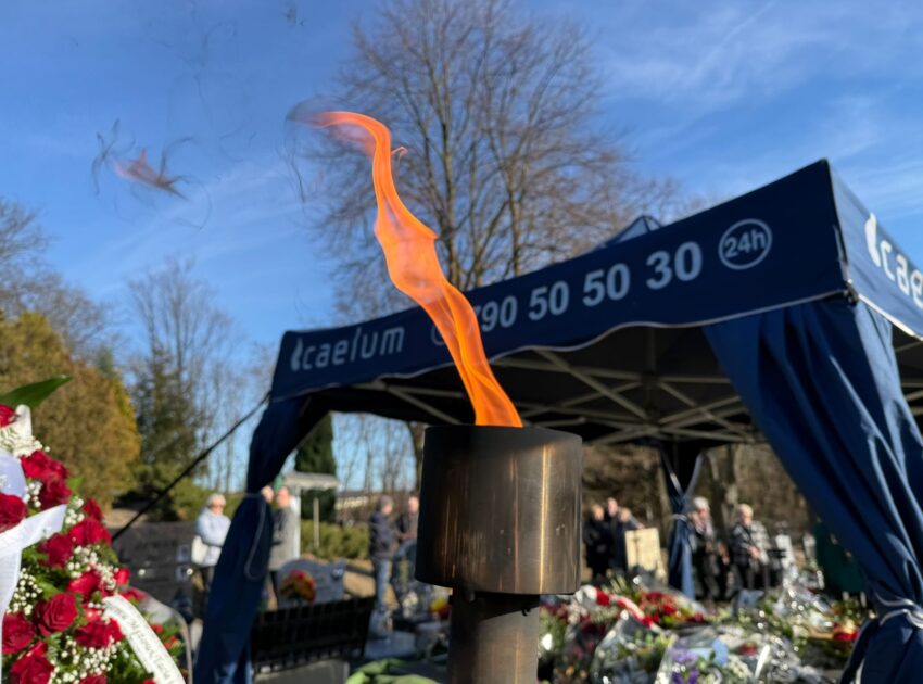 WhatsApp Image 2026-03-03 at 13.15.47 (2)