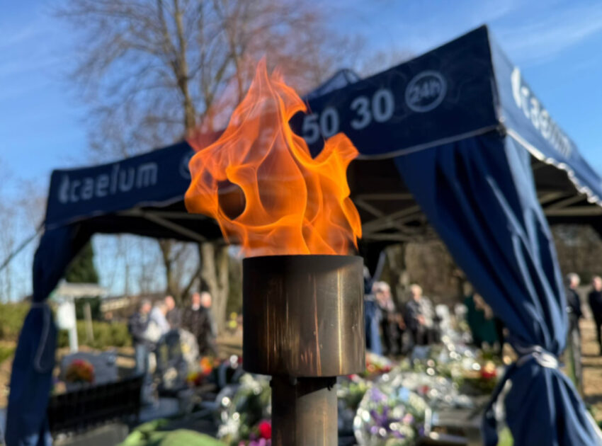 WhatsApp Image 2026-03-03 at 13.15.47