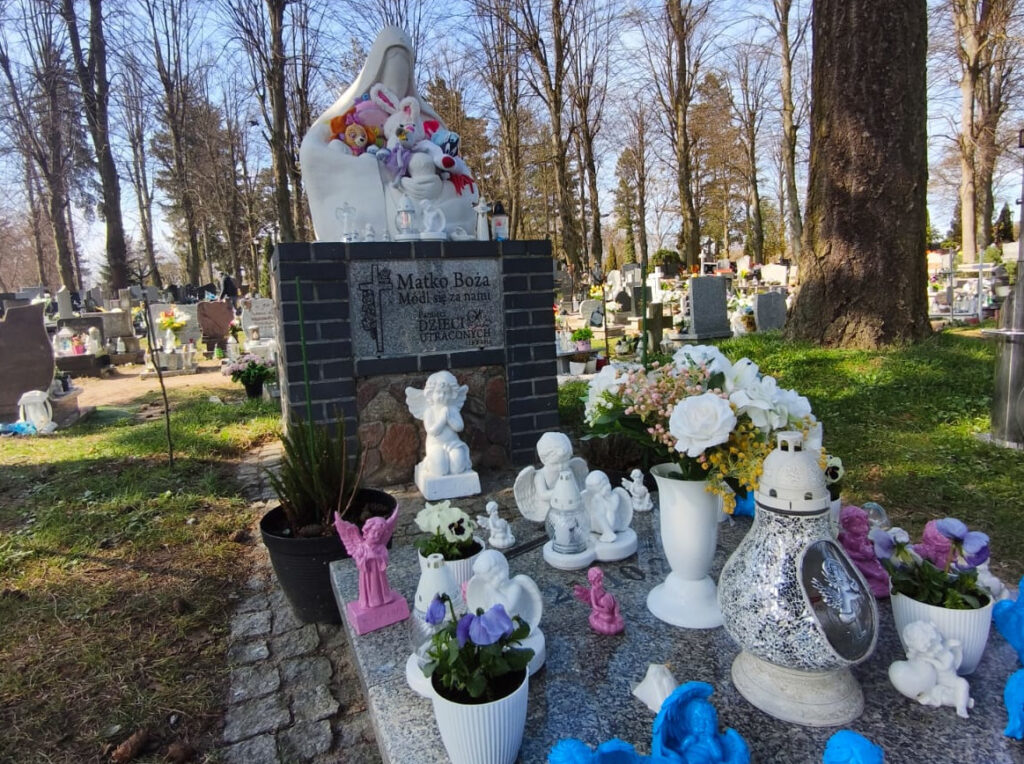 WhatsApp Image 2026-03-28 at 12.00.56