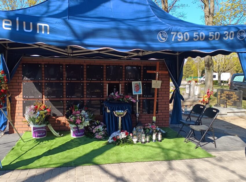 WhatsApp Image 2026-04-11 at 09.41.38 (7)