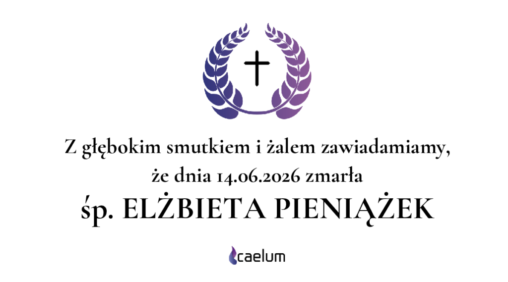 og-image-13087